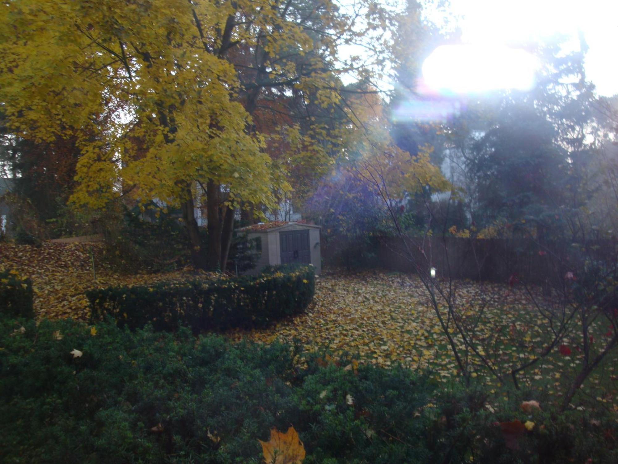 Hotel Landhaus Schlachtensee — Foto’s 2